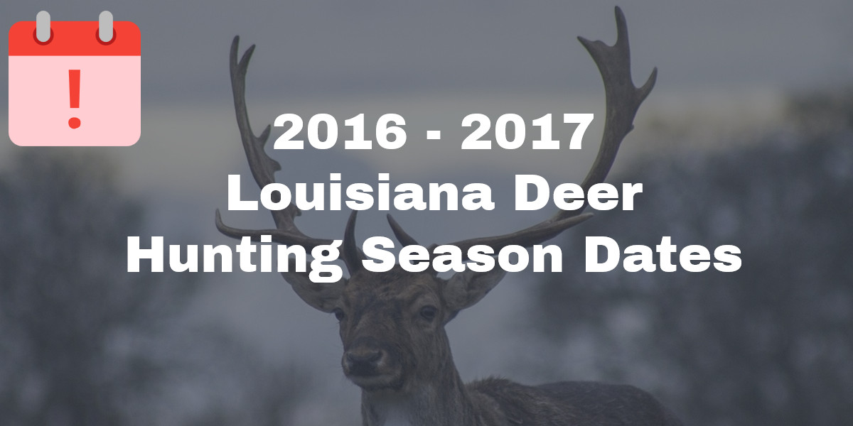 Louisiana Deer Season 2024 2024 Pippy Jsandye