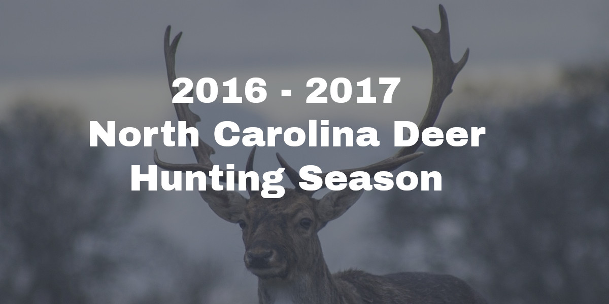 Deer Season 2024 North Carolina Daisi Edeline